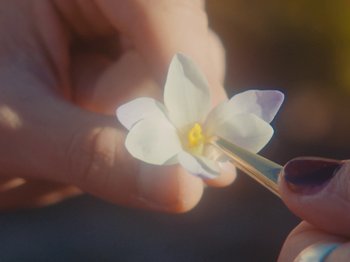 Movie still from “Colectivo Da Silva - Marisol” (2019), directed by Kirkpatrick Buffet – Extreme Close Up shot, High angle