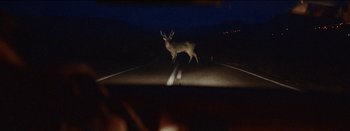 Movie still from “Kadebostany - Mind If I Stay” (2019), directed by Hasan Kuyucu – Extreme Wide shot, High angle