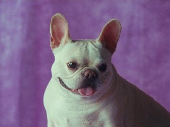 Movie still from “Gus Dapperton - Fill Me Up Anthem” (2019), directed by Gus Dapperton – Close Up shot, High angle