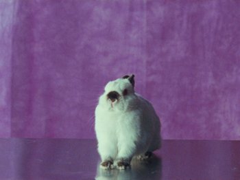 Movie still from “Gus Dapperton - Fill Me Up Anthem” (2019), directed by Gus Dapperton – Medium shot, Low angle