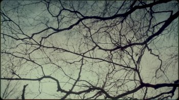 Movie still from “Jesse Markin - Jericho” (2019), directed by Kim Koponen – Extreme Close Up shot, Overhead angle