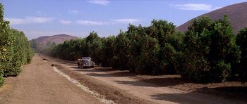 Movie still from “Chinatown” (1974), directed by Roman Polanski – An old car drives down a dirt road through an orange grove; Extreme Wide shot, High angle