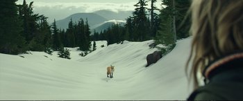 Movie still from “Wild” (2014), directed by Jean-Marc Vallée – Extreme Wide shot, High angle