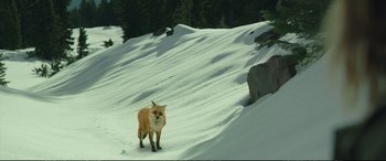 Movie still from “Wild” (2014), directed by Jean-Marc Vallée – Wide shot, High angle