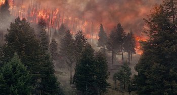 Movie still from “Wildlife” (2018), directed by Paul Dano – A forest fire is burning in the distance; Extreme Wide shot, High angle