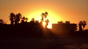 Movie still from “American History X” (1998), directed by Tony Kaye – The sun is setting over a beach with palm trees in the background; Extreme Wide shot, Low angle