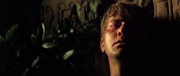 Movie still from “Apocalypse Now” (1979), directed by Francis Ford Coppola – A person's face with a plant in the background; Close Up shot, Low angle