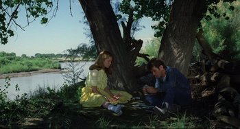 Movie still from “Badlands” (1973), directed by Terrence Malick – A man and a woman sitting under a tree near a body of water; Medium shot, High angle