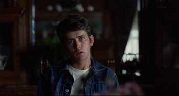 Movie still from “Badlands” (1973), directed by Terrence Malick – A young man sitting in a chair in front of flowers; Close Up shot, Over the shoulder angle