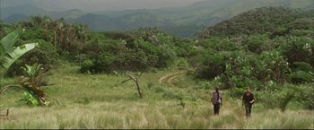 Movie still from “Blood Diamond” (2006), directed by Edward Zwick – A person walking through a lush green field; Extreme Wide shot, High angle