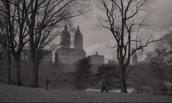 Movie still from “C'mon C'mon” (2021), directed by Mike Mills – A black and white photo of trees and buildings in a park; Extreme Wide shot, High angle