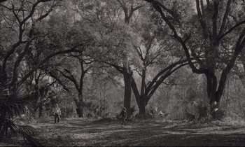 Movie still from “C'mon C'mon” (2021), directed by Mike Mills – A black - and - white photo of trees and people in a field; Extreme Wide shot, High angle