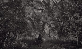 Movie still from “C'mon C'mon” (2021), directed by Mike Mills – Two people are walking through the woods together; Extreme Wide shot, High angle
