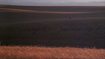 Movie still from “Days of Heaven” (1978), directed by Terrence Malick – A person standing in a large field of brown grass; Extreme Wide shot, High angle