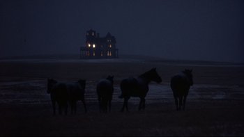 Movie still from “Days of Heaven” (1978), directed by Terrence Malick – A group of horses standing on top of a grass field at night; Extreme Wide shot, Low angle