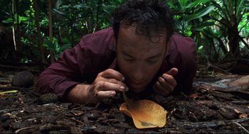 Movie still from “Cast Away” (2000), directed by Robert Zemeckis – A man is laying on the ground looking at a leaf; Close Up shot, High angle
