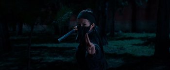Movie still from “Crouching Tiger, Hidden Dragon” (2000), directed by Ang Lee – A person in a black mask holding a stick in his mouth; Medium shot, Over the shoulder angle