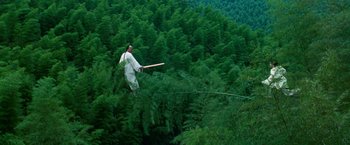 Movie still from “Crouching Tiger, Hidden Dragon” (2000), directed by Ang Lee – A man flying through the air while holding onto a rope; Extreme Wide shot, Low angle