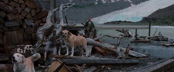 Movie still from “Insomnia” (2002), directed by Christopher Nolan – A man standing next to a dog on top of a pile of wood; Wide shot, Low angle