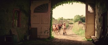 Movie still from “Irrational Man” (2015), directed by Woody Allen – A woman leading two horses down a dirt road; Wide shot, Low angle