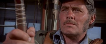 Movie still from “Jaws” (1975), directed by Steven Spielberg – A person with a beard and mustache; Close Up shot, Low angle