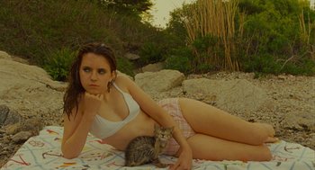 Movie still from “Moonrise Kingdom” (2012), directed by Wes Anderson – A beautiful young woman laying on a blanket next to a cat; Medium shot, High angle