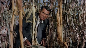 Movie still from “North by Northwest” (1959), directed by Alfred Hitchcock – A man in a suit and tie in a corn field; Medium shot, Low angle
