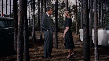 Movie still from “North by Northwest” (1959), directed by Alfred Hitchcock – A man and a woman standing next to each other in the woods; Wide shot, Over the shoulder angle