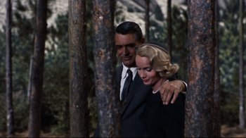 Movie still from “North by Northwest” (1959), directed by Alfred Hitchcock – A man and a woman standing next to each other in a forest; Medium shot, Low angle