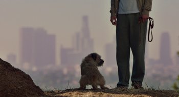 Movie still from “Ruby Sparks” (2012), directed by Valerie Faris – A man standing next to a dog on top of a hill; Wide shot, Low angle