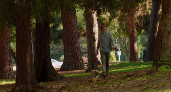 Movie still from “Ruby Sparks” (2012), directed by Valerie Faris – A man walking a dog in a park near some trees; Wide shot, Low angle