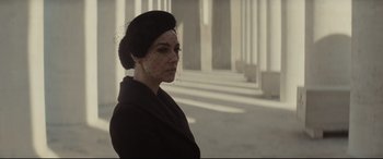 Movie still from “Spectre” (2015), directed by Sam Mendes – A woman wearing a veil standing in front of a building; Close Up shot, Low angle