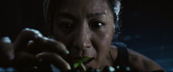 Movie still from “Sunshine” (2007), directed by Danny Boyle – A person holding a plant in their hand; Extreme Close Up shot, Low angle