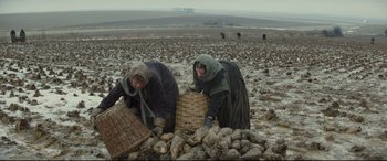 Movie still from “Tess” (1979), directed by Roman Polanski – Two women are picking potatoes in a field; Wide shot, High angle