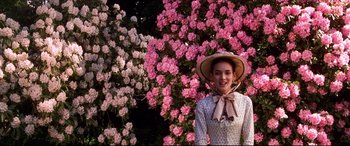 Movie still from “The Age of Innocence” (1993), directed by Martin Scorsese – A woman wearing a hat standing in front of pink flowers; Medium shot, Low angle