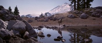 Movie still from “The Deer Hunter” (1978), directed by Michael Cimino – A deer standing next to a body of water near a mountain range; Extreme Wide shot, Low angle