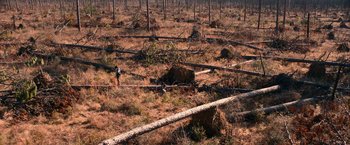 Movie still from “65” (2023), directed by Bryan Woods – A person standing in the middle of an area that has fallen trees; Extreme Wide shot, Overhead angle