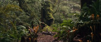 Movie still from “65” (2023), directed by Bryan Woods – A lush green forest filled with lots of trees; Extreme Wide shot, High angle