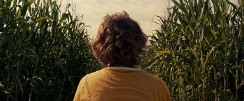 Movie still from “A Quiet Place” (2018), directed by John Krasinski – A person with curly hair standing in a corn field; Close Up shot, Low angle