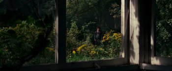 Movie still from “A Quiet Place” (2018), directed by John Krasinski – A man standing in a field with yellow flowers in front of a window; Wide shot, Over the shoulder angle
