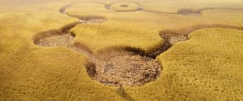 Movie still from “A Shaun the Sheep Movie: Farmageddon” (2019), directed by Will Becher – An aerial view of a field with a person standing in the middle; Extreme Wide shot, Overhead angle