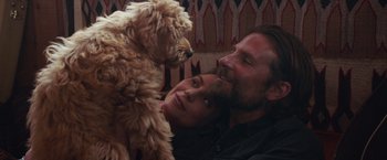 Movie still from “A Star Is Born” (2018), directed by Bradley Cooper – A man and a woman with a dog on the ground; Medium shot, Over the shoulder angle