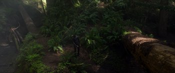 Movie still from “After Earth” (2013), directed by M. Night Shyamalan – A person standing in a forest with lots of green plants; Extreme Wide shot, Overhead angle