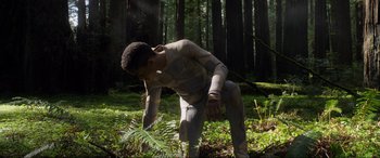 Movie still from “After Earth” (2013), directed by M. Night Shyamalan – A young man in the woods looking at a plant; Wide shot, Low angle