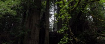 Movie still from “After Earth” (2013), directed by M. Night Shyamalan – A person standing in the middle of a forest; Extreme Wide shot, Low angle