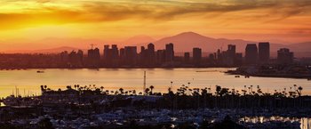 Movie still from “Afterlife of the Party” (2021), directed by Stephen Herek – A view of a city skyline at sunset with palm trees in the foreground; Extreme Wide shot, High angle