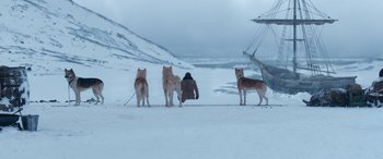 Movie still from “Against the Ice” (2022), directed by Peter Flinth – A man and four dogs in the snow on a hill; Wide shot, Low angle