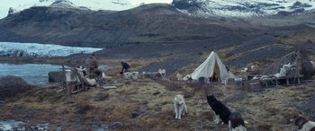 Movie still from “Against the Ice” (2022), directed by Peter Flinth – A group of dogs sitting in the grass next to a tent; Wide shot, High angle