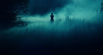 A person standing in a field in the fog