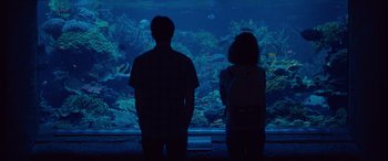 Movie still from “Alex Strangelove” (2018), directed by Craig Johnson – A man and a woman standing in front of an aquarium at night; Medium shot, High angle